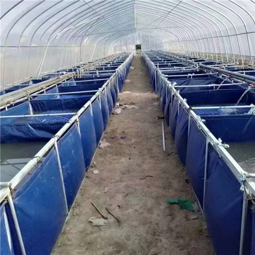 防渗池